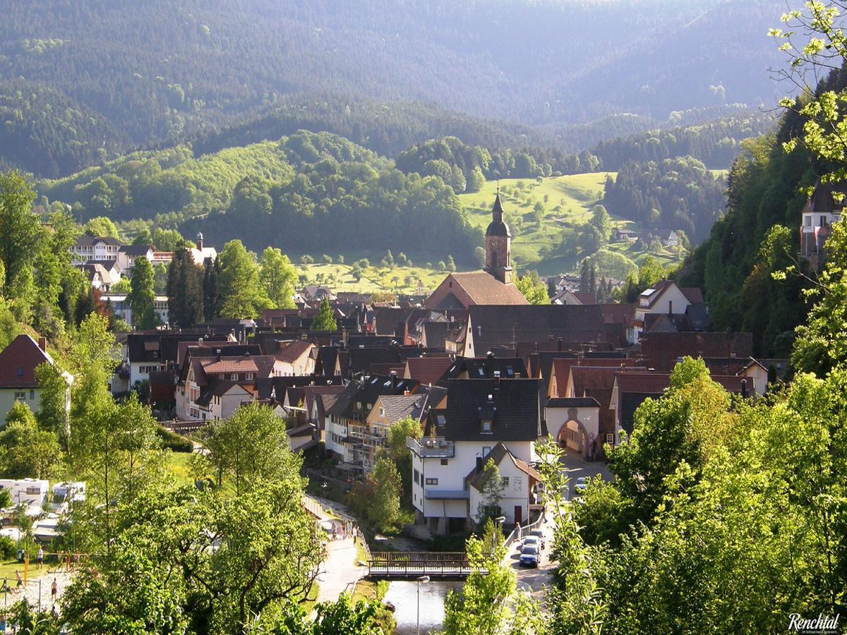 Ferienwohnung Am Hauskopf Oppenau Exterior foto